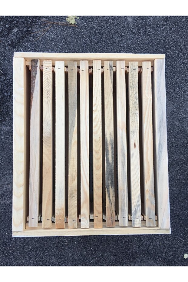 10 Çıtalı Tek Katlı Kovan - 2