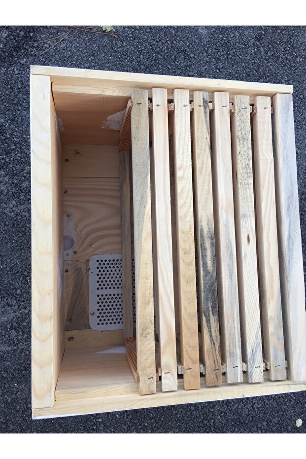 10 Çıtalı Tek Katlı Kovan - 3