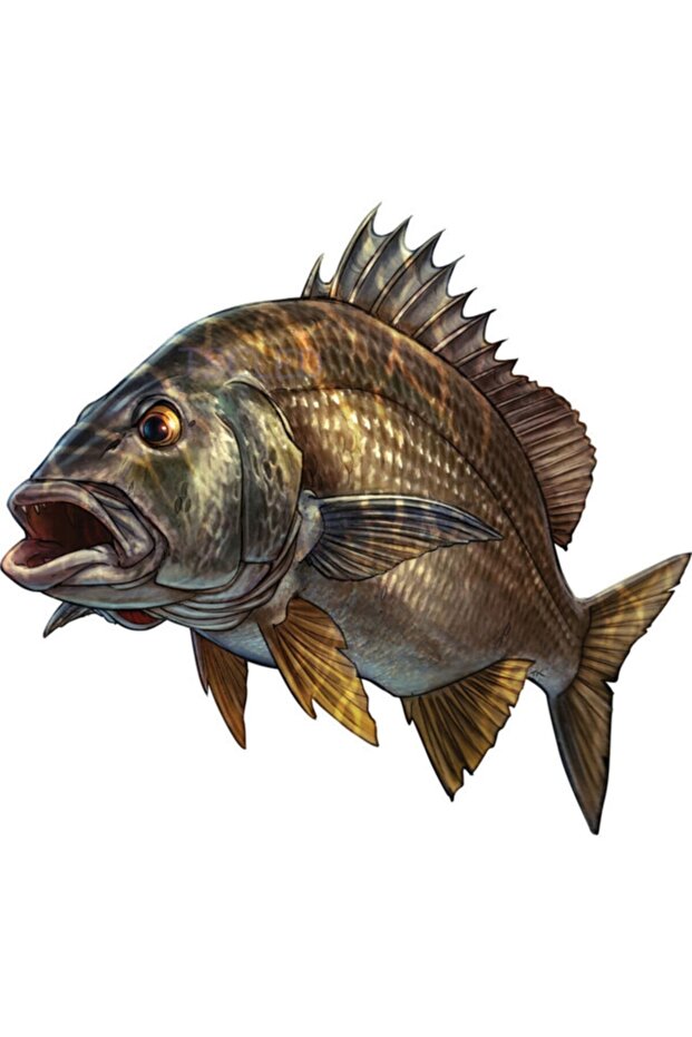 Sports Fishing Decal Pvc Waterproof 20cmx20cm