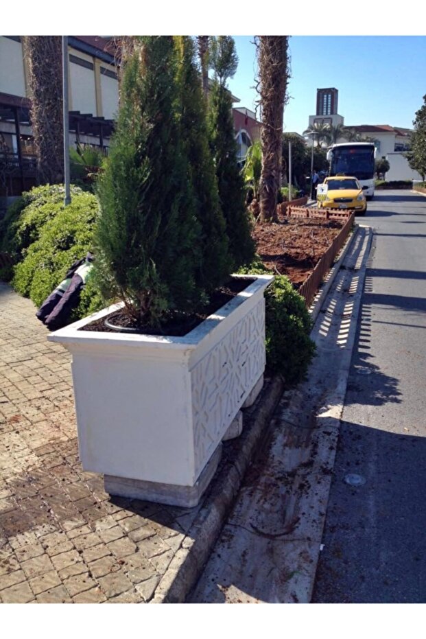 Dikdörtgen Saksı - 2