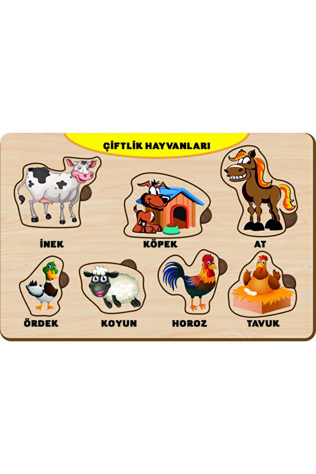 4 Adet Ahşap Bul Tak Eğitici Yapboz Puzzle Seti 12 - 2