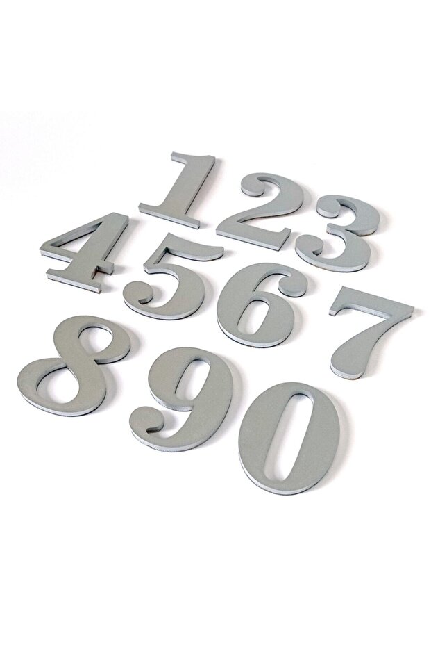 Gri Kapı Numarası - 1