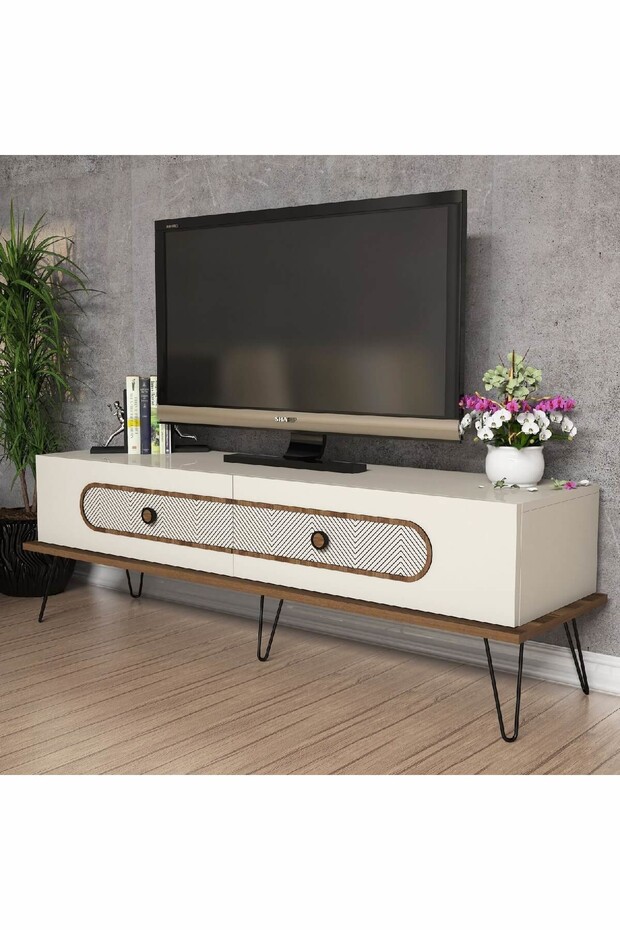 Ekol Tv Ünitesi - 1