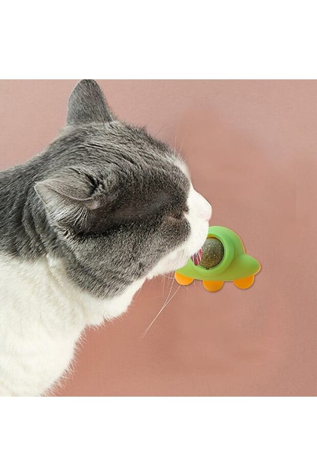 Yeni Model Uzay Catnip Kedi Çimi Topu Kedi Nanesi Oyuncağı - 2