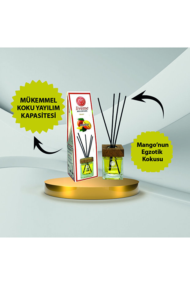Mango Ortam Kokusu / 110 ml