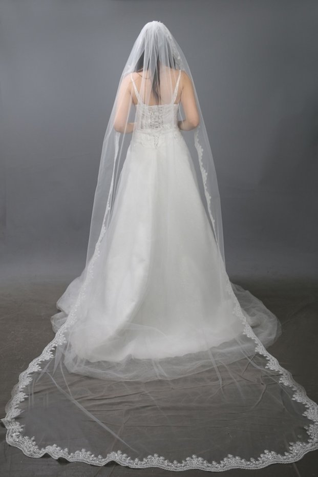 Long Wedding Dress Veil Long 3 Meters French Lace with Comb Off-White