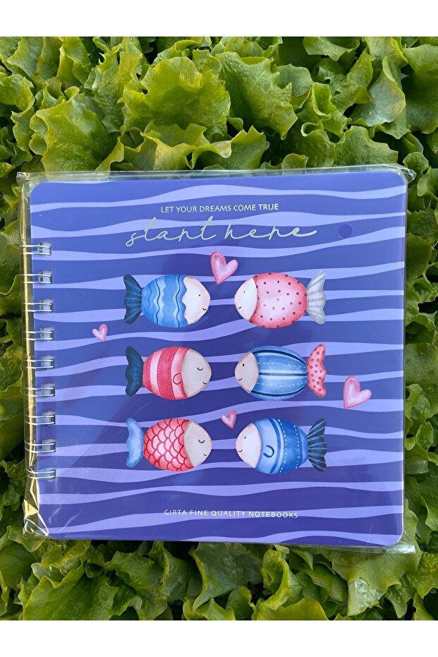 Start 16x16 Notebook cu copertă rigidă (punctat) - 1