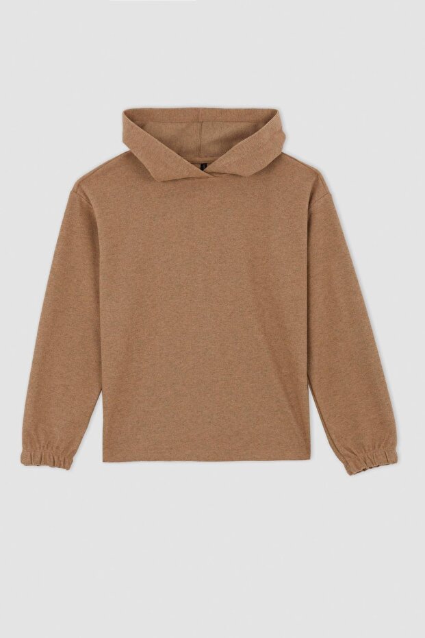 Regular Fit Kapüşonlu Sweatshirt - 7