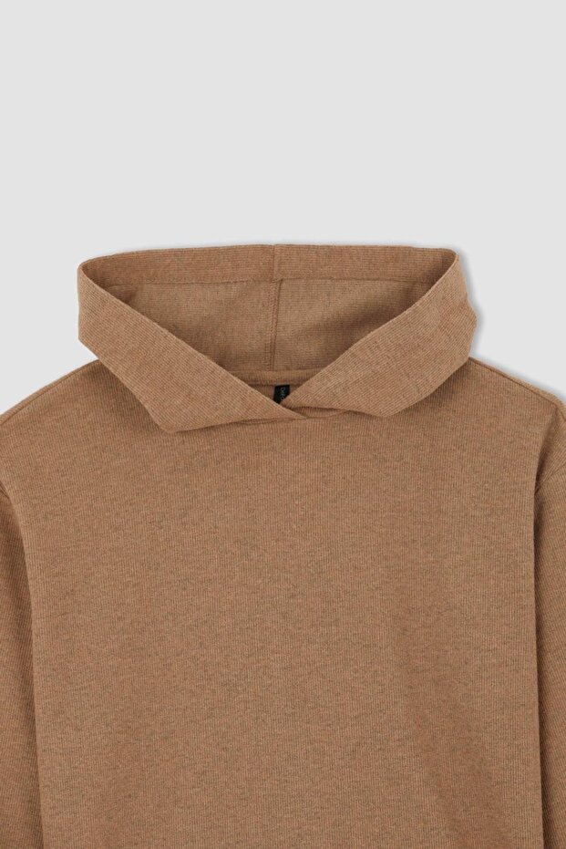 Regular Fit Kapüşonlu Sweatshirt - 8