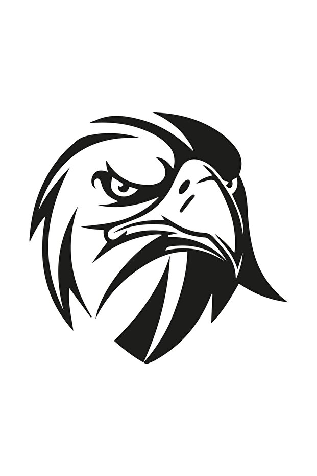 Angry Looking Eagle Car, Motorcycle, Helmet, Laptop, Glass Sticker 13x12 Cm