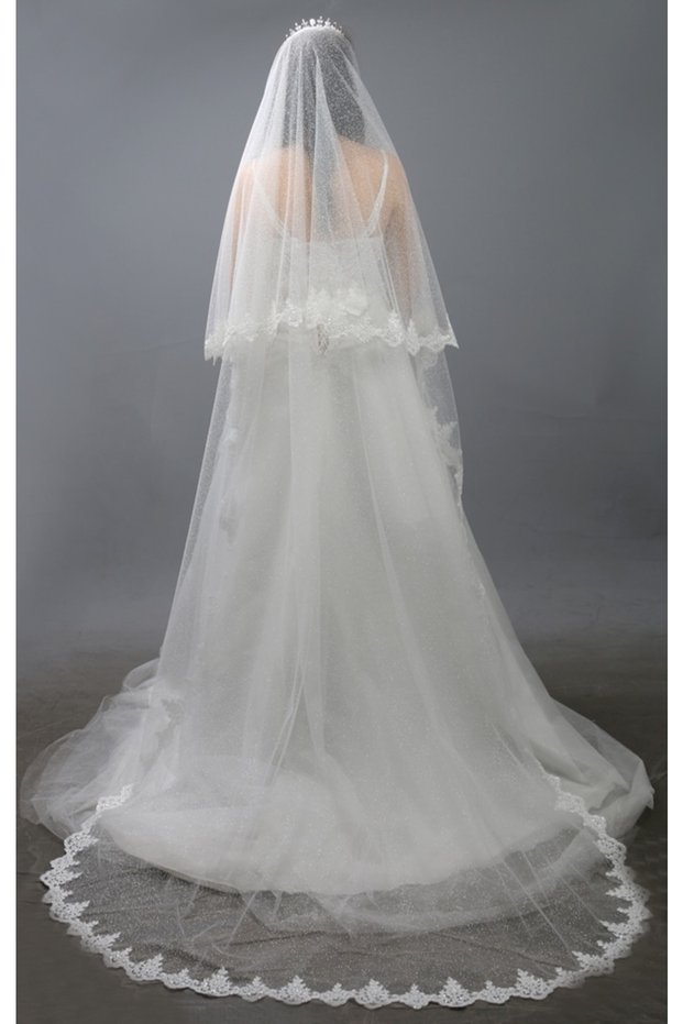 Long Wedding Dress Veil 2 Tiers Glitter Tulle French Lace Height 230 Cm White with Comb