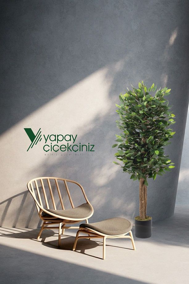 Çiçekçiniz Siyah Saksıda Yoğun Yapraklı 150cm Yapay Benjamin Ağacı - 4