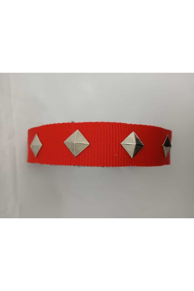 Fancy Hand Embroidered Dog Collar