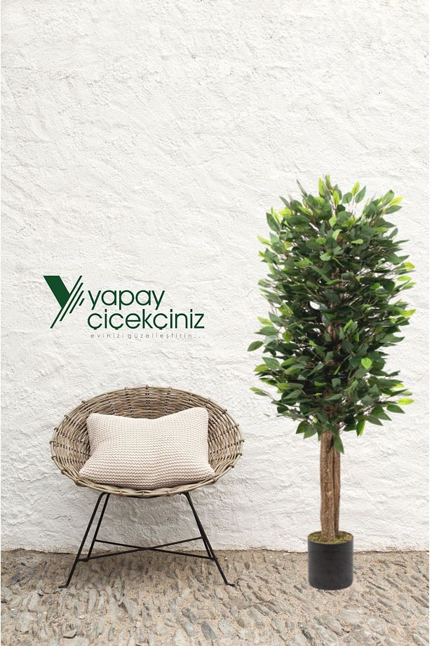 Çiçekçiniz Siyah Saksıda Yoğun Yapraklı 150cm Yapay Benjamin Ağacı - 3