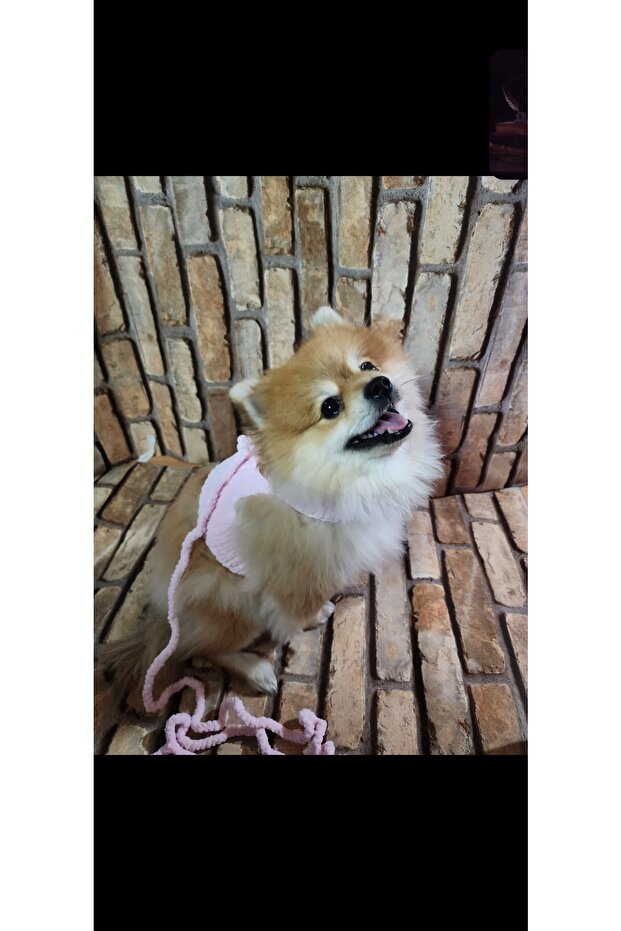 المقود القطيفة - 3