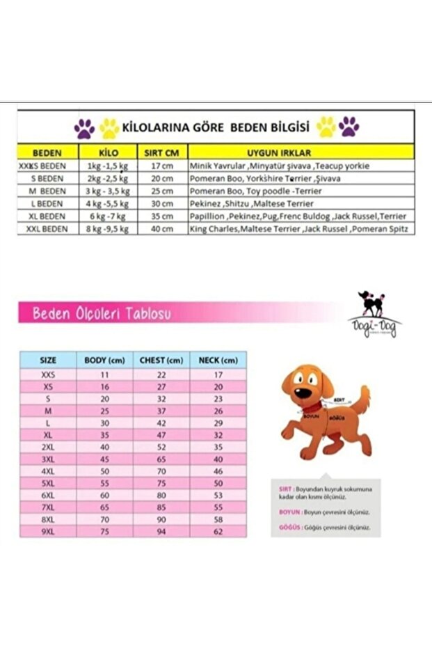 المقود القطيفة - 4