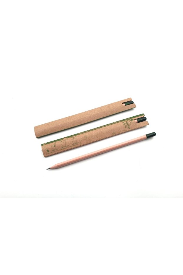 50 Seeded Pencils (Flower Seeded Living Pencil)