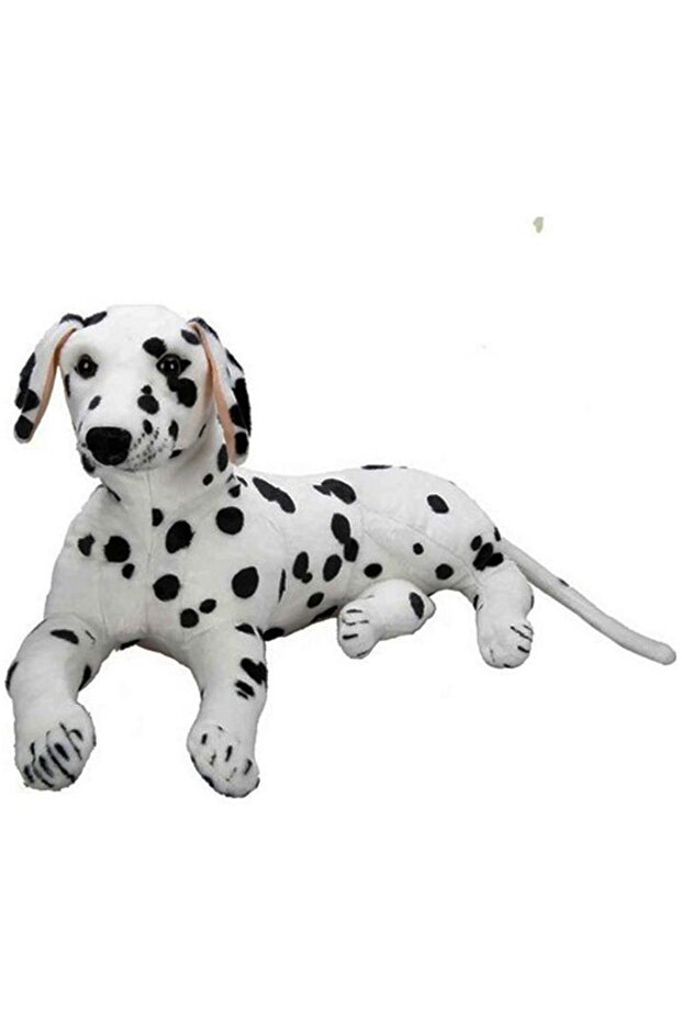 كلب دولماركي ناعم ينام - 1