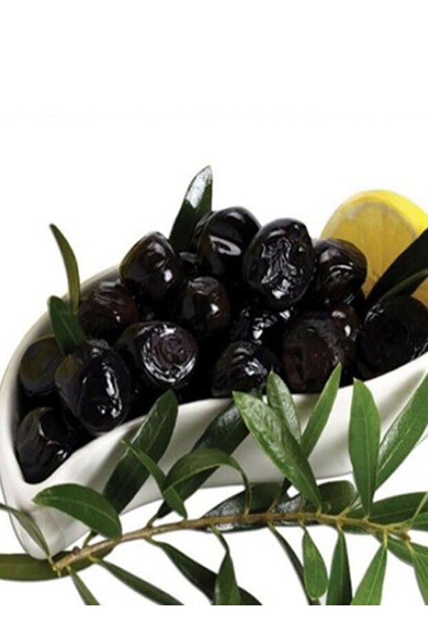 1 Adet Gemlik Trilye Zeytin Fidanı Tüplü 2 Yaş - 3