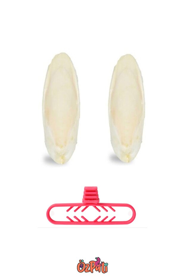 Medium Size Squid Bone 2Pcs + Squid Grip - 1