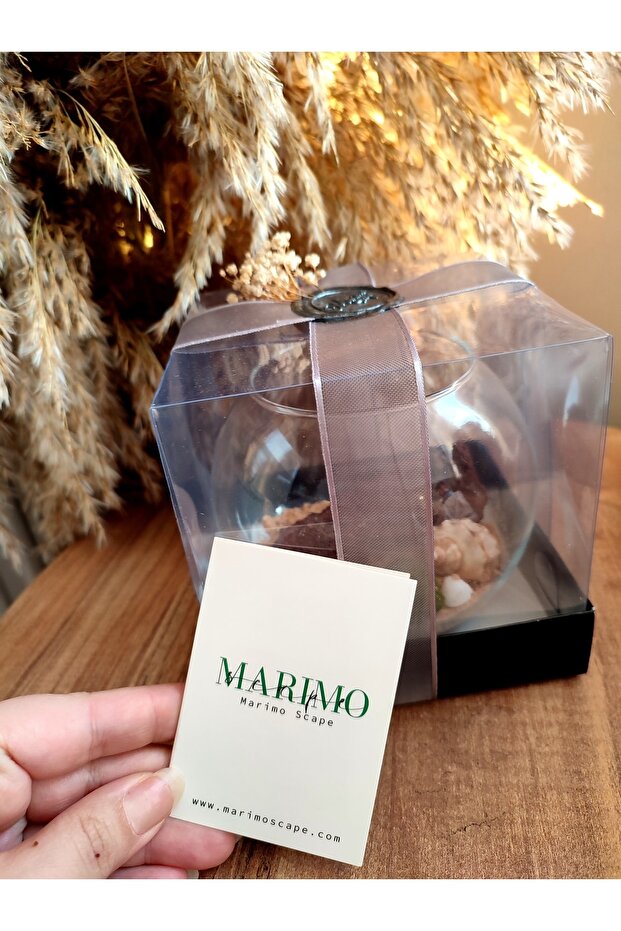 Marimo Fanus (11*8CM) - 4