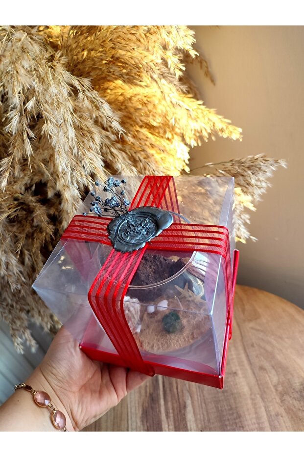 Marimo Fanus (11*8CM) - 3