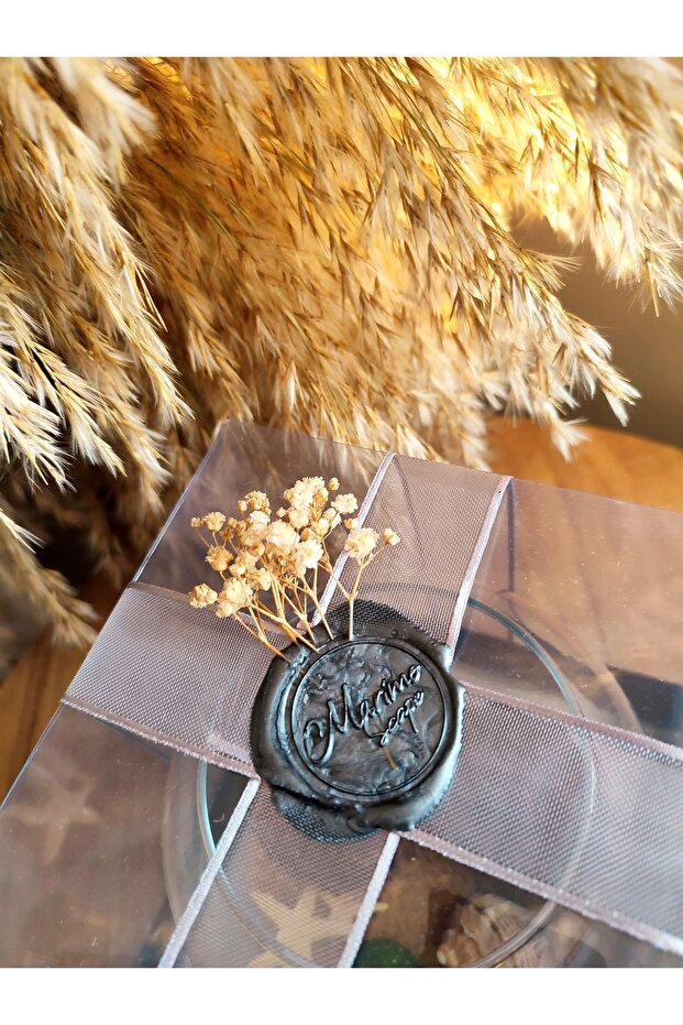 Marimo Fanus (11*8CM) - 5