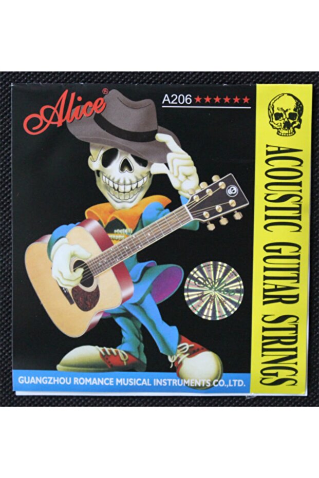 Akustik Gitar Tel Seti - 2