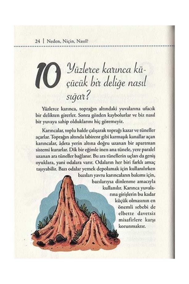 Süper Bilgi Soru Ve Cevaplarla Bunları Biliyormusunuz ?  Nick Thomas Willson - 11
