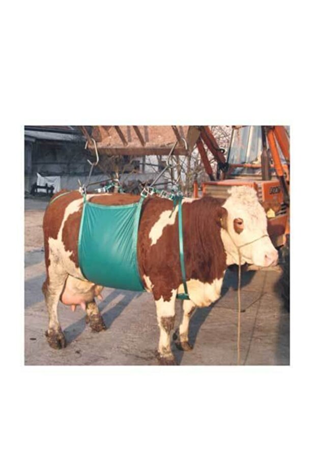 Sığır Kaldırma Aparatı - 1