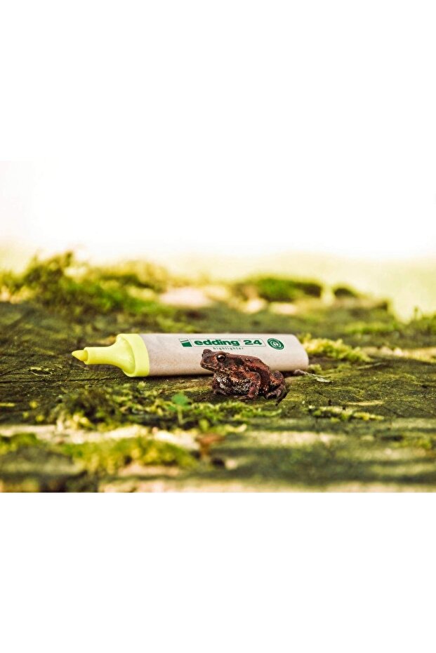 24 هايلايتر إيكولين قابل لإعادة التدوير - 2