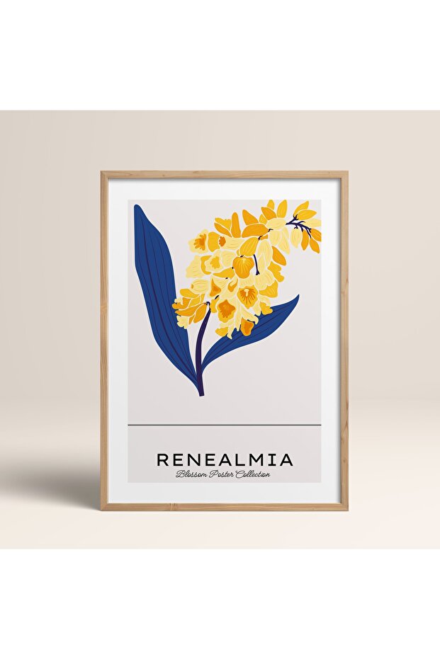 Framed Blossom Flowers Abstract Flowers Modern Art Painting