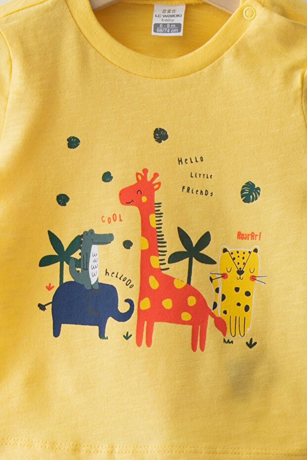 Bcc,kesıl2 (S1) - 3