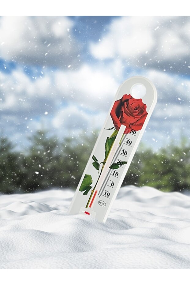 2728 Termometre Plastik - 3