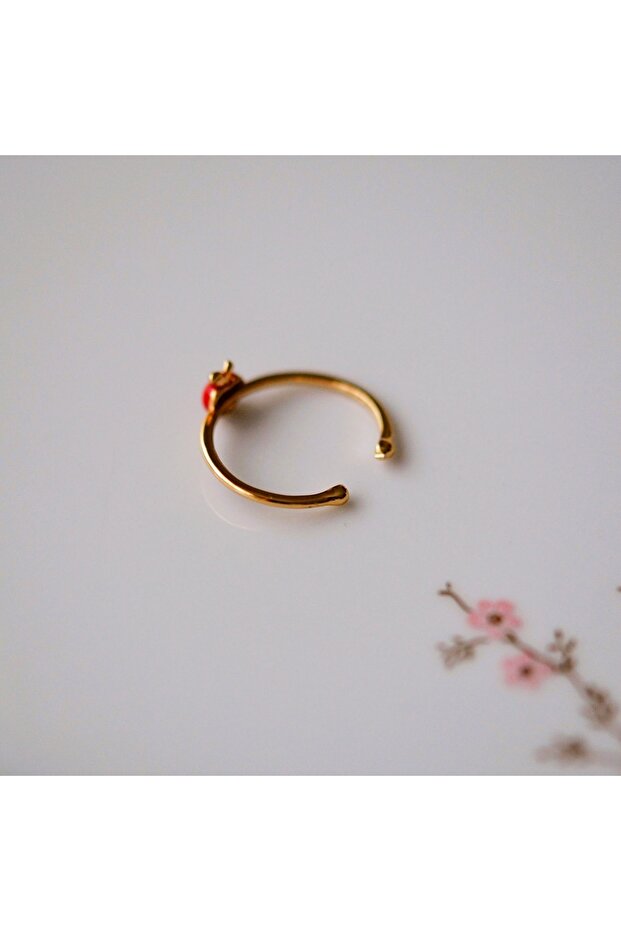 حلقة مفصلية قابلة للتعديل من فاكهة التفاح - 2