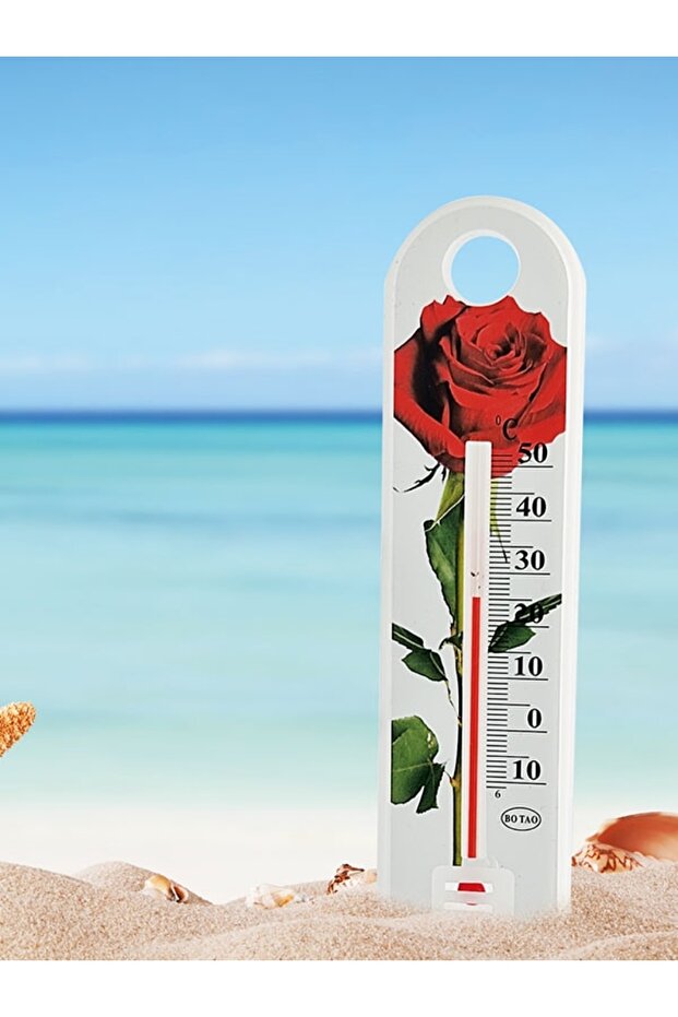 2728 Termometre Plastik - 2