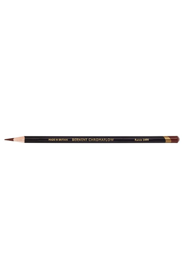 Chromaflow Dry Paint Pen Raisin 2000