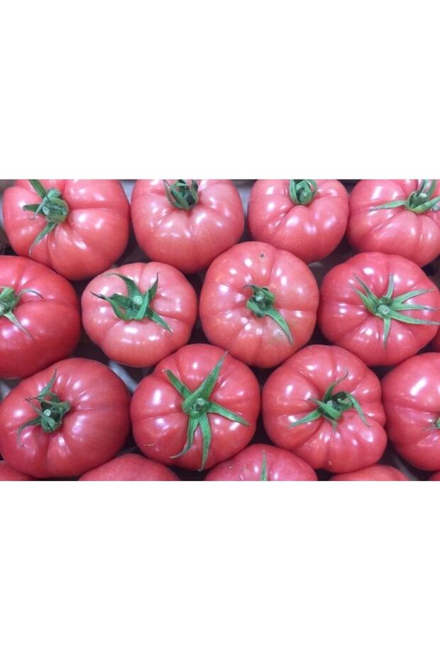 Gıda Domates - 4