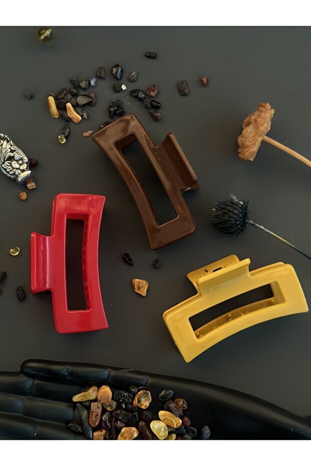 Colored Latch Buckle - 2