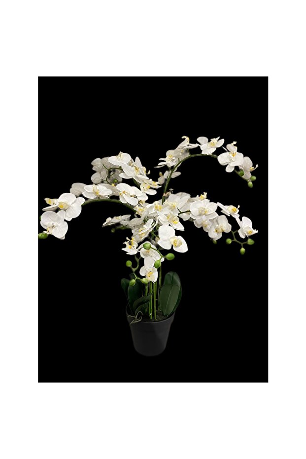 Yapay Beyaz Orkide - 1