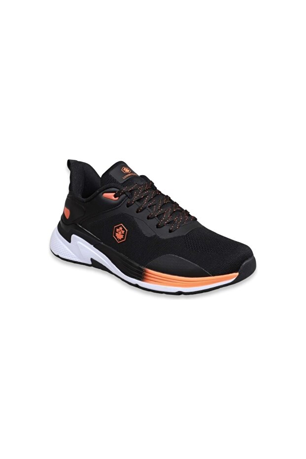 Compel 3fx - 1