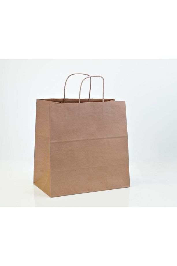 Kraft Kâğıt Poşet (25x12x31 Cm) Burgu Saplı Kâğıt Torba (100 Adet) Kâğıt Çanta - 2