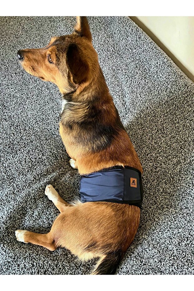 Men's Dog Pee Waistband Underpants Washable with Pad