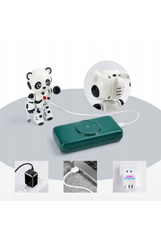 Ses Kayıt Edip Konuşan Akıllı Robot Panda Şarjlı - 9