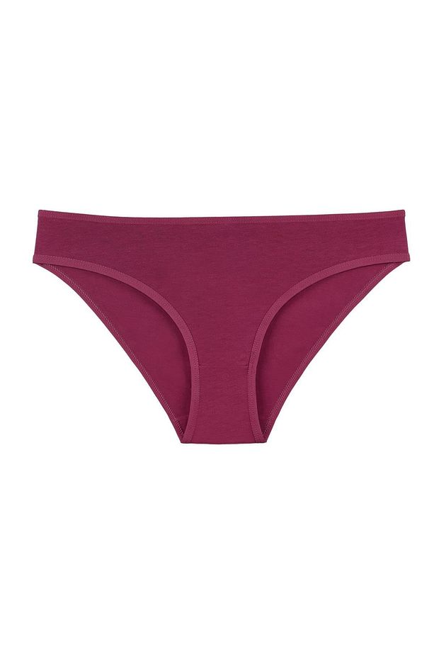 Kadın Düz Renkler Pamuklu 5'li Slip Külot - Set Kts3039 - 3