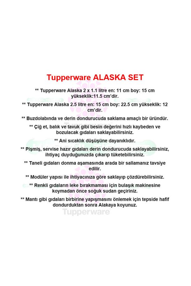 Alaska Set 2.5 lt-1.1 lt Buzluk Saklama Kabı - 3