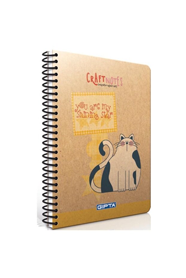 ملاحظات حرفية Sprغطاء صلب A6 100ypدفتر ملاحظات مربعات - 1