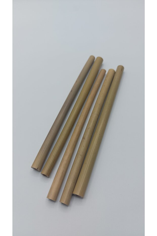 100% Natural Natural Bamboo Straws 19 Cm 5 Pcs-Cleaning Wire-Environmentally Friendly Natural Straws