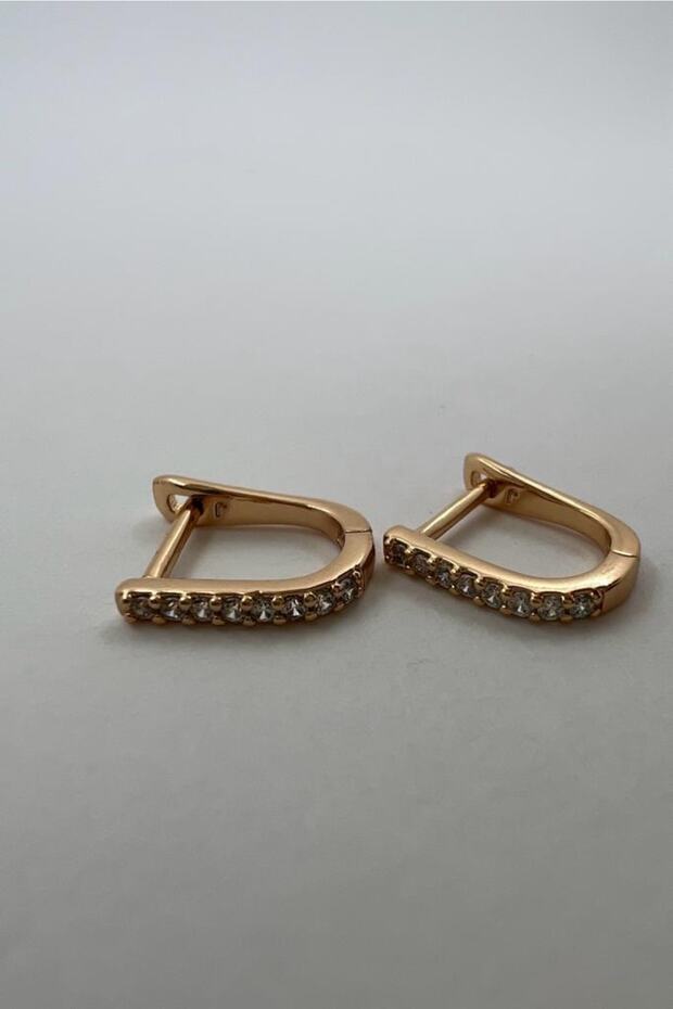 Luis ( Mini Altın Kaplama Küpe ) - 5