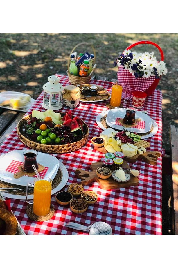 Piti Kareli Sofra Bezi, Piknik Örtüsü, Çok Amaçlı Örtü - 1